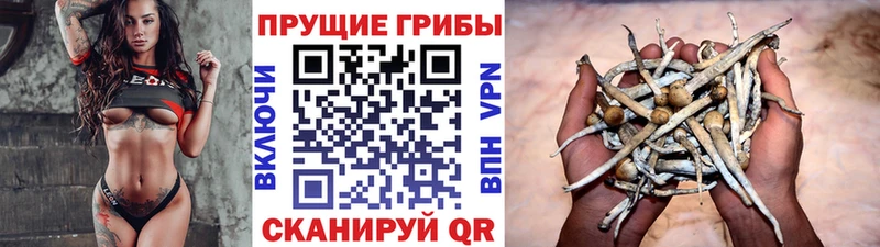 Галлюциногенные грибы ЛСД  где найти   omg как войти  Курлово 