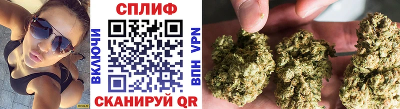 Марихуана OG Kush Курлово